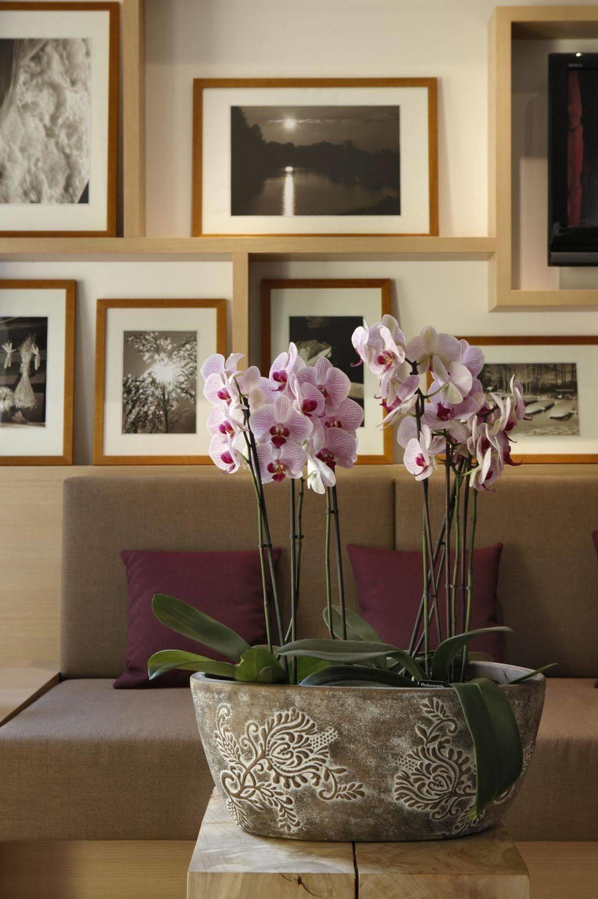 Logis Hotel Kur- Und Wellnesshaus Spree Balance Burg  Buitenkant foto